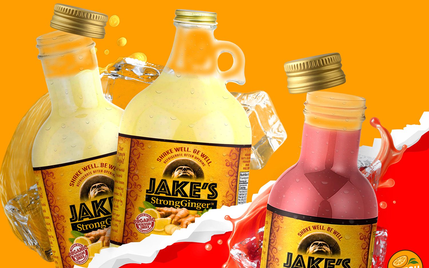 Subscribe & Save: How Jake’s StrongGinger™ Doubled Subscriptions with PayWhirl